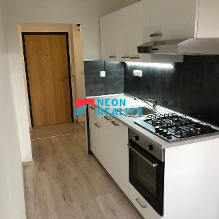 Pronájem bytu 1+1 41 m² Orlová, Osvobození