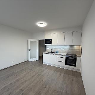 Pronájem bytu 1+kk a garsoniéry 39 m² Opava, Císařského pluku