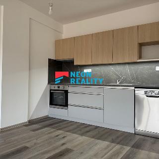 Pronájem bytu 2+kk 61 m² Ostrava, U Nemocnice