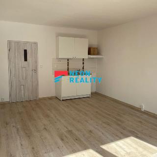 Pronájem bytu 1+kk a garsoniéry 33 m² Orlová, F. S. Tůmy