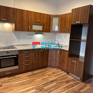 Pronájem bytu 3+kk 97 m² Ostrava, Špálova