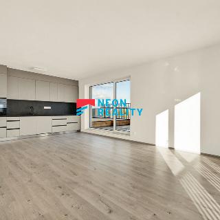 Pronájem bytu 4+kk 180 m² Opava, Vančurova