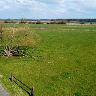 Prodej stavební parcely 5 590 m² Lomnice nad Lužnicí