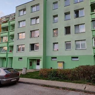 Pronájem bytu 3+1 69 m² Jindřichův Hradec, Kosmonautů