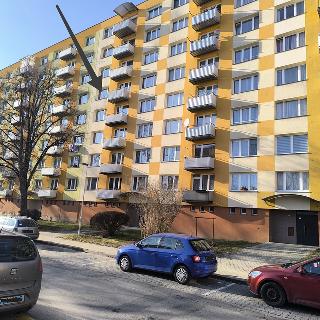 Pronájem bytu 2+1 66 m² Jindřichův Hradec, sídliště Vajgar