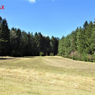 Prodej zemědělské půdy 17 735 m² Deštná