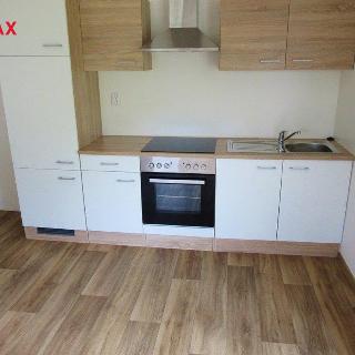 Pronájem bytu 2+kk 48 m² Dražice