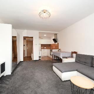 Prodej bytu 2+kk 42 m² Praha, Antala Staška