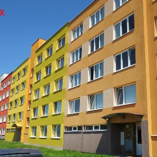 Pronájem bytu 1+1 43 m² České Velenice, Sídliště na Sadech