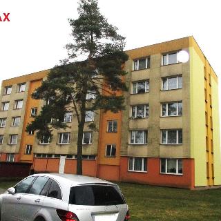 Pronájem bytu 3+1 65 m² Nová Bystřice, K. H. Borovského