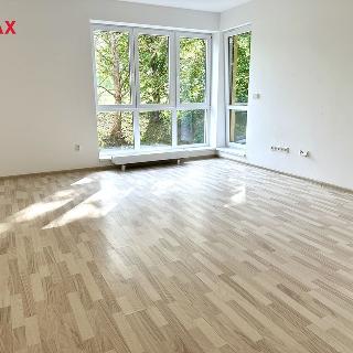 Pronájem bytu 2+kk 56 m² Český Krumlov, Pod Hrází