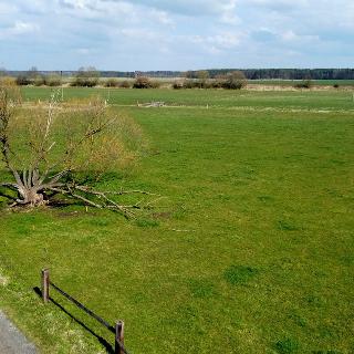 Prodej stavební parcely 5 590 m² Lomnice nad Lužnicí