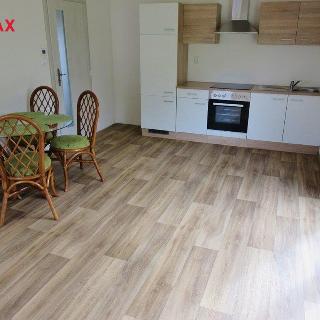 Pronájem bytu 2+kk 48 m² Dražice