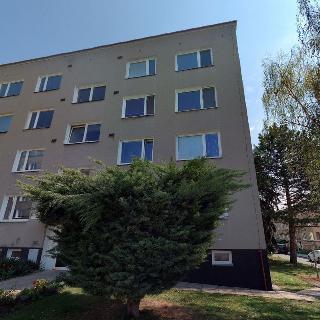 Prodej bytu 4+1 99 m² Kosmonosy, Pod koupalištěm