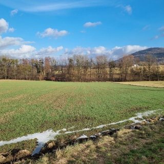 Pronájem zahrady 800 m² Štramberk, Náměstí