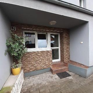 Pronájem bytu 1+kk a garsoniéry 30 m² Kopřivnice