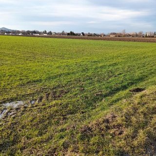 Pronájem zahrady 700 m² Kopřivnice