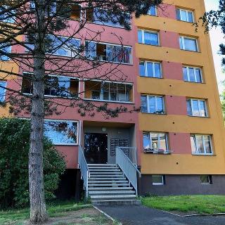 Pronájem bytu 1+kk a garsoniéry 27 m² Frýdek-Místek, Klicperova