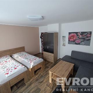 Pronájem bytu 1+kk a garsoniéry 18 m² Hluk, Lánská