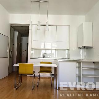 Pronájem bytu 1+kk a garsoniéry 35 m² Praha