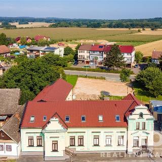 Prodej hotelu a penzionu 240 m² Černíkovice