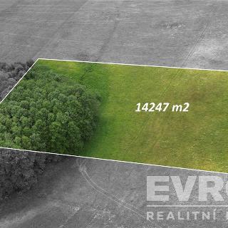 Prodej zemědělské půdy 14 247 m² Český Dub