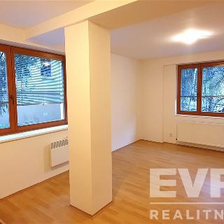 Pronájem bytu 1+kk a garsoniéry 30 m² Vrchlabí, Českých bratří