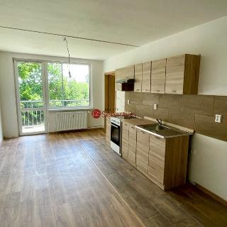 Pronájem bytu 4+kk 68 m² Litvínov, Hamerská