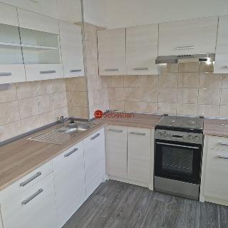 Pronájem bytu 3+1 70 m² Most, Javorová