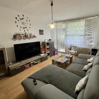 Prodej bytu 2+1 62 m² Chomutov, Dřínovská