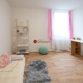 Pronájem bytu 1+1 36 m² Teplice, Antonína Sochora