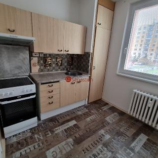 Pronájem bytu 1+1 44 m² Náchod, 