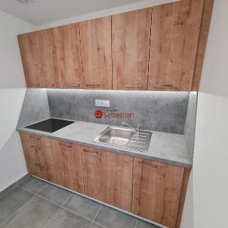 Pronájem bytu 2+1 38 m² Teplice, Antonína Sochora