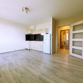 Prodej bytu 1+kk a garsoniéry 35 m² Praha, Imrychova