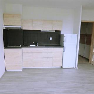 Prodej bytu 1+kk a garsoniéry 35 m² Praha, Imrychova