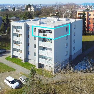 Prodej bytu 2+1 57 m² Ostrava, Švédská