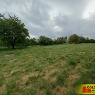 Prodej stavební parcely 2 000 m² Sebranice