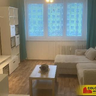 Pronájem bytu 2+kk 47 m² Brno