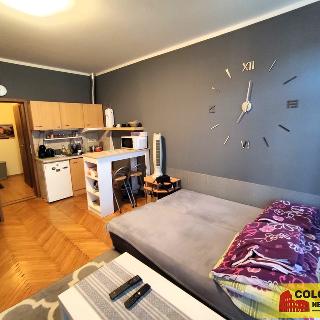 Pronájem bytu 1+kk a garsoniéry 25 m² Židlochovice, 