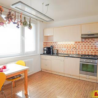 Prodej bytu 1+1 40 m&sup2; Brno