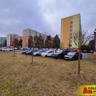 Pronájem bytu 2+kk 41 m² Mladá Boleslav, 