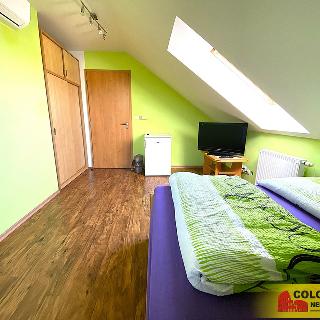 Pronájem bytu 1+kk, garsoniery 15 m² Bzenec