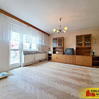 Prodej bytu 3+1 85 m² Úsov, 