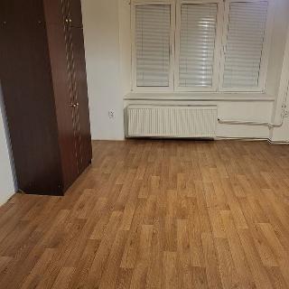 Pronájem bytu 2+kk 57 m² Brno