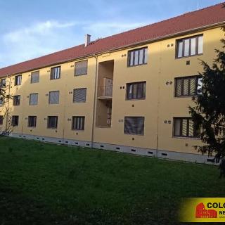 Pronájem bytu 1+kk a garsoniéry 26 m² Brno, 