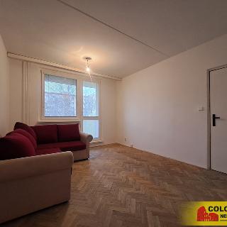 Pronájem bytu 1+kk a garsoniéry 32 m² Znojmo, 