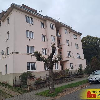 Pronájem bytu 1+1 42 m² Znojmo, 