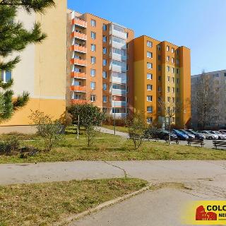 Prodej bytu 1+kk a garsoniéry 32 m² Brno, 