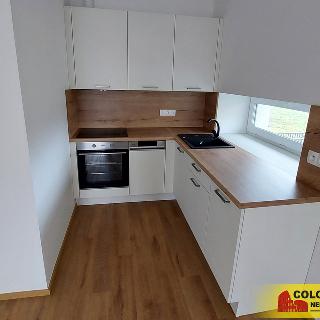 Pronájem bytu 2+kk 48 m² Rostěnice-Zvonovice, 