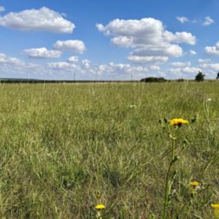 Prodej komerčního pozemku 8168 m&sup2; Znojmo